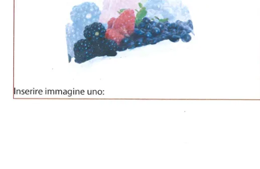 Confezione di Frutti di bosco congelati g 300