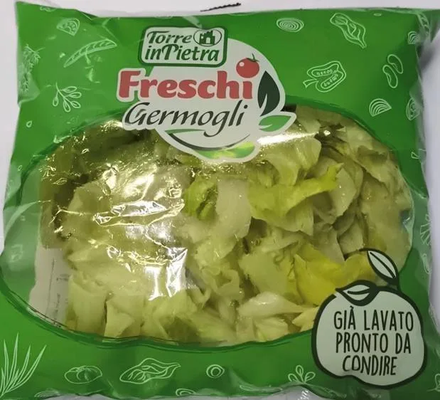 Immagine 2 del prodotto Iceberg 250 gr Freschi germogli