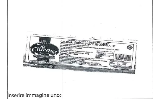 Immagine 1 del prodotto Calamari indopacifici puliti IF