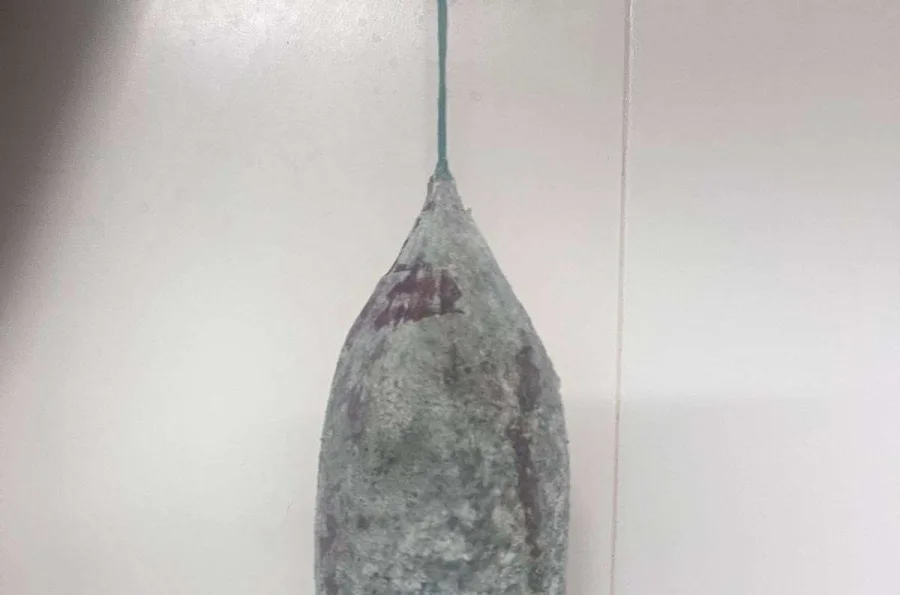 Immagine 1 del prodotto SALAME NOSTRANO CON AGLIO