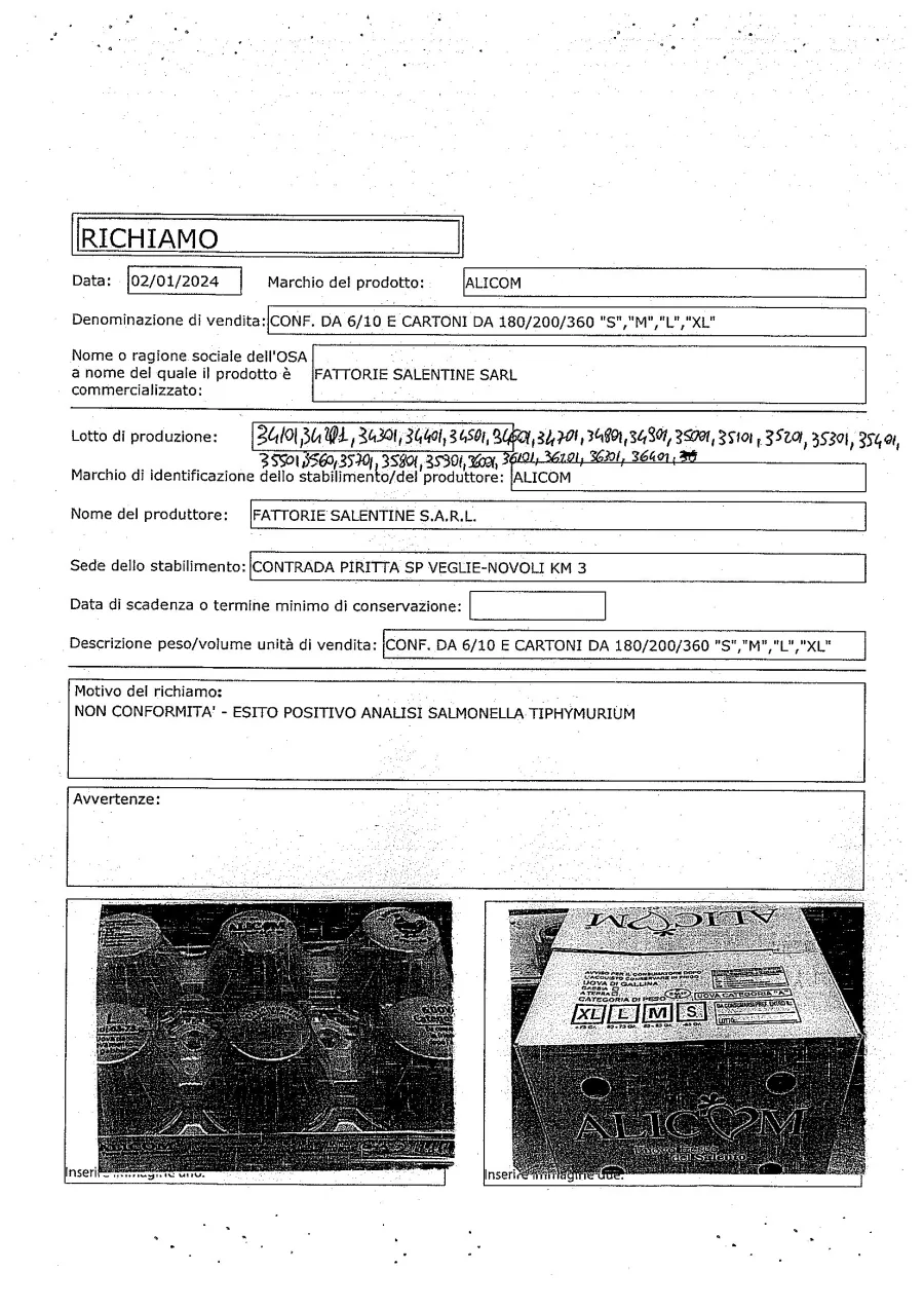 Immagine del prodotto Uova conf. da 6/10 e cartoni da 180/200/360 "S", "M", "L", " XL"