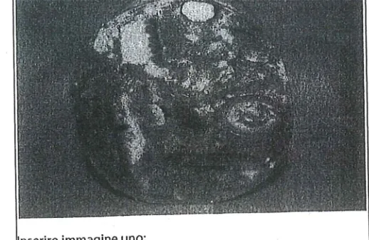 Confezione di coppa di testa maiale farcita
