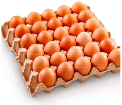 Immagine 1 del prodotto Uova Biologiche