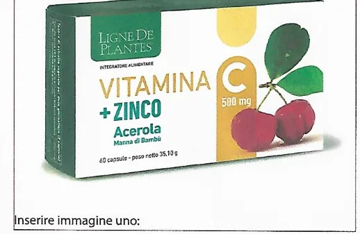 Immagine del prodotto Vitamina C 500 mg + Zinco acerola e Manna di Bambù 60 cps