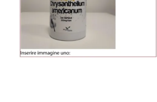 Immagine 1 del prodotto Chrysanthellum americanum
