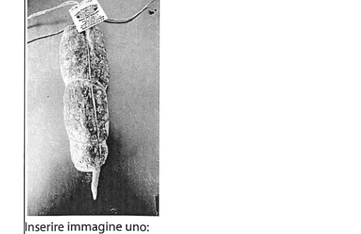 Immagine 1 del prodotto SALAME DI MAGLIANO