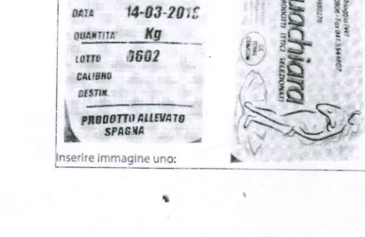 Confezione di COZZE SPAGNA