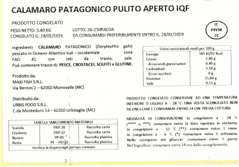 Immagine 2 del prodotto Calamaro patagonico pulito aperto