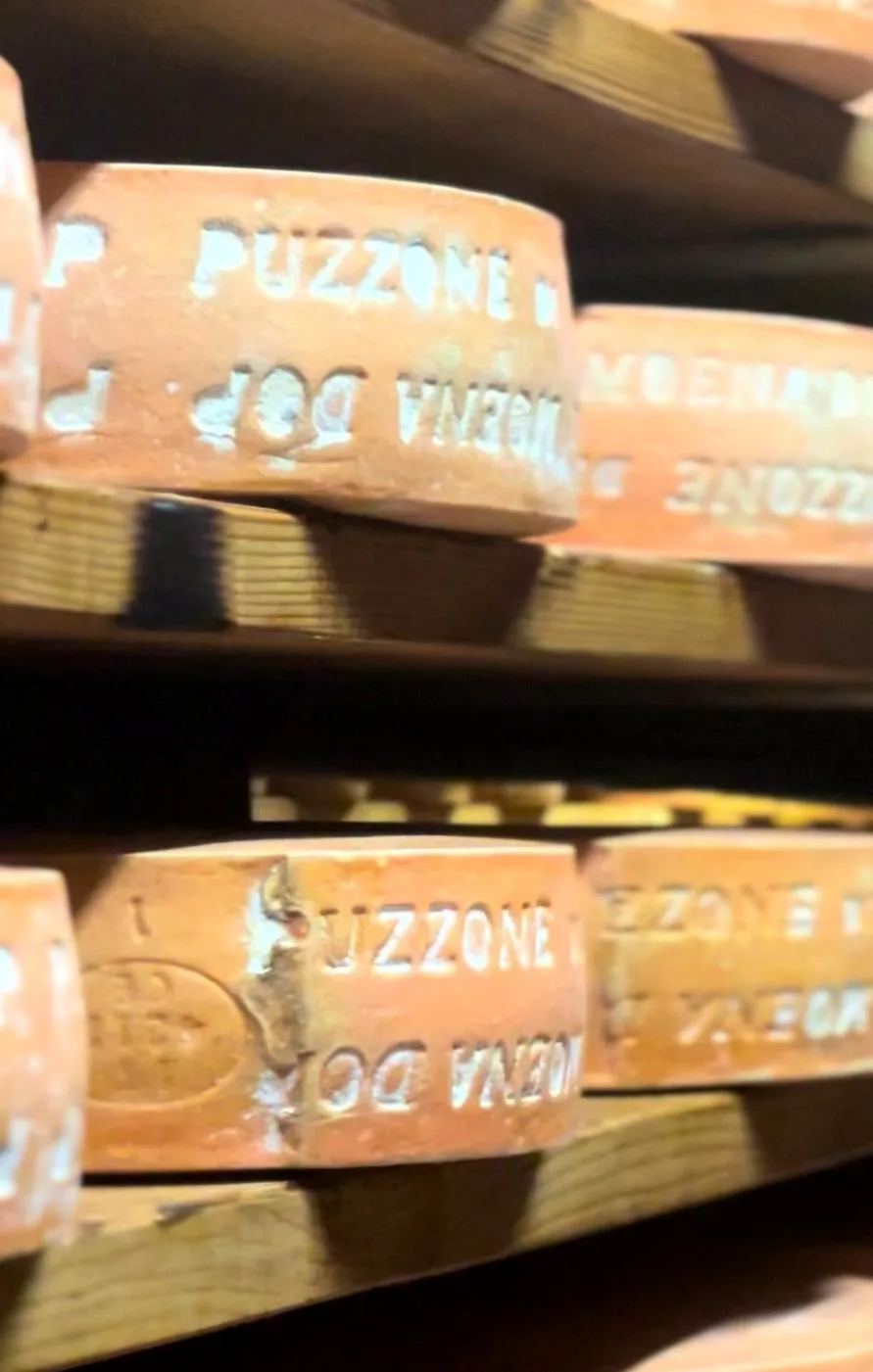 Immagine del prodotto Puzzone di Moena di Predazzo e Moena