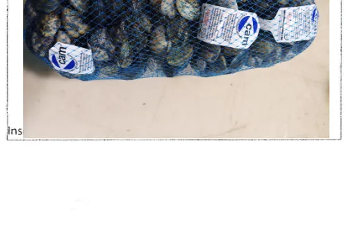Immagine del prodotto VONGOLE VERACI