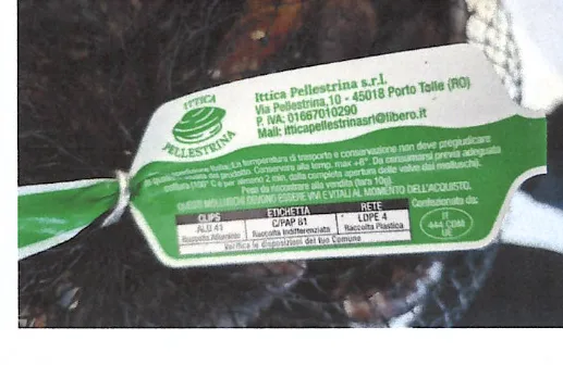 Immagine 2 del prodotto Mitili o Cozze(MSN) Mytilus galloprovincialis