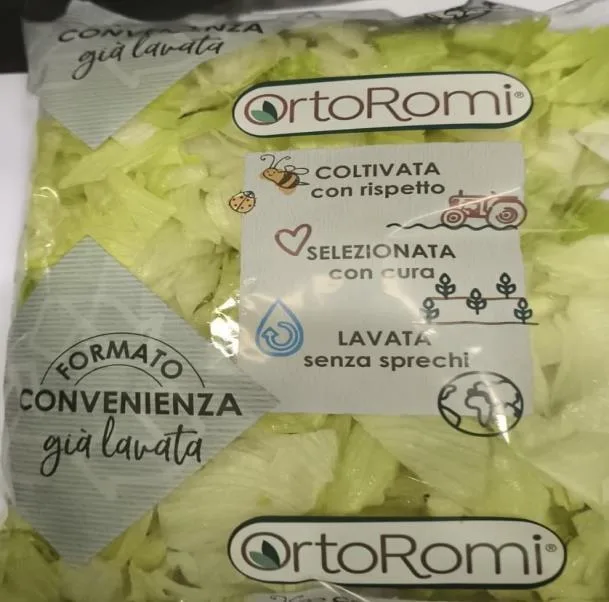 Immagine 1 del prodotto Iceberg 500 gr