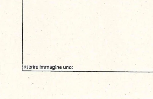 Immagine 1 del prodotto SESAMO BIANCO ORIGINE INDIA