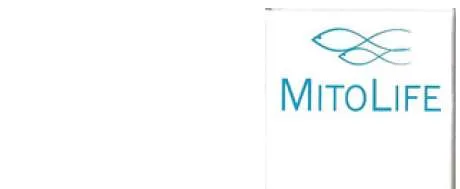 Immagine 3 del prodotto MITOLIFE CRYSTALS