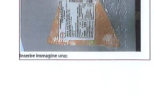 Immagine 1 del prodotto Mortadella supergigante a tranci con pistacchio distribuita da Rialto