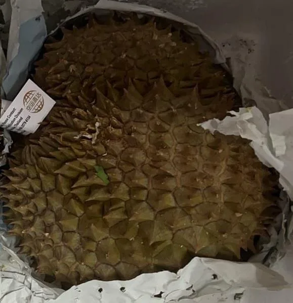 Immagine 1 del prodotto Durian