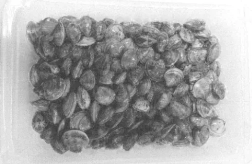 Immagine 2 del prodotto VONGOLE O LUPINI SOTTOVUOTO 4x0.5 KG