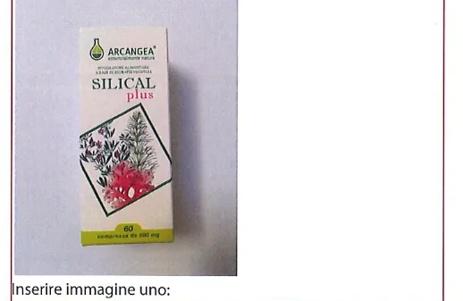 Immagine 1 del prodotto SILICAL PLUS