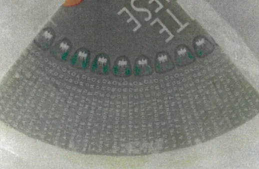Immagine 2 del prodotto FORMAGGIO MONTE VERONESE LATTE INTERO DOP 1/4 DI FORMA IN ATM