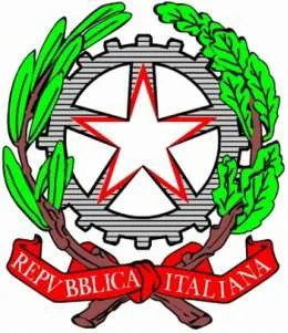 Confezione di Uova di gallina in guscio