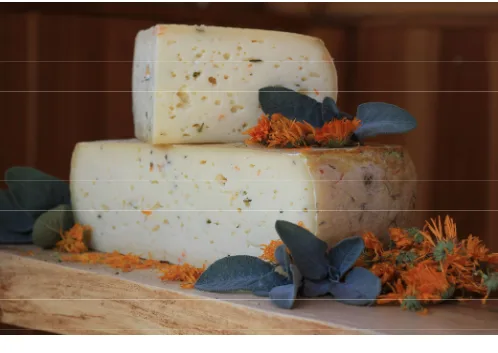 Confezione di FORMAGGIO DOLOMITI AROMATIZZATO ALLE ERBE L.T.