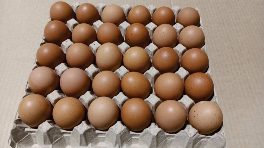 Immagine del prodotto Uova fresche da allevamento a terra Cat A