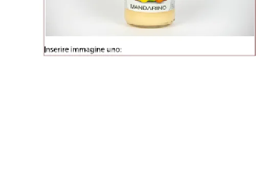 Immagine del prodotto SORBETTO ARTIGIANALE MANDARINO