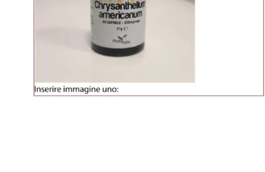 Immagine 1 del prodotto Chrysanthellum americanum
