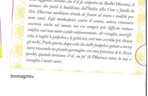 Immagine 2 del prodotto IT C-15 Dharma Compost Bio Roo Albahaca