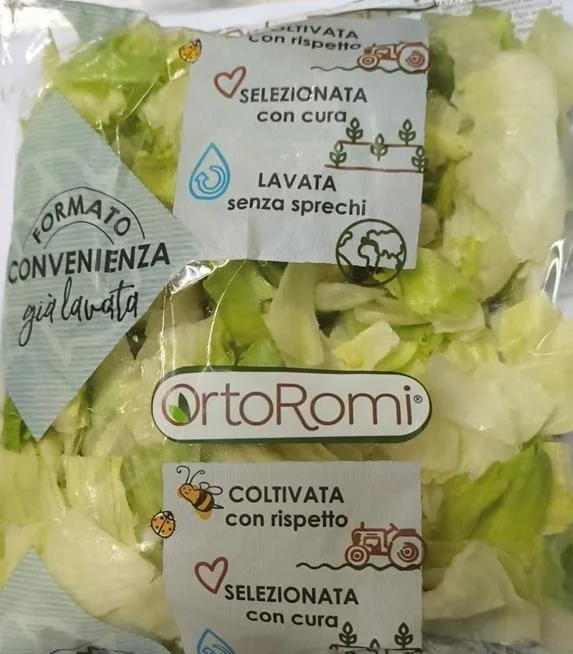 Immagine 2 del prodotto Iceberg 350 gr