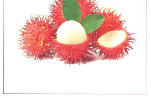 Immagine del prodotto RAMBUTAN THAILANDIA