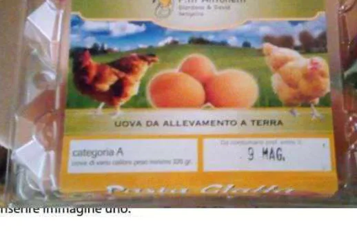 Immagine del prodotto Pasta Gialla Uova da allevamento a terra