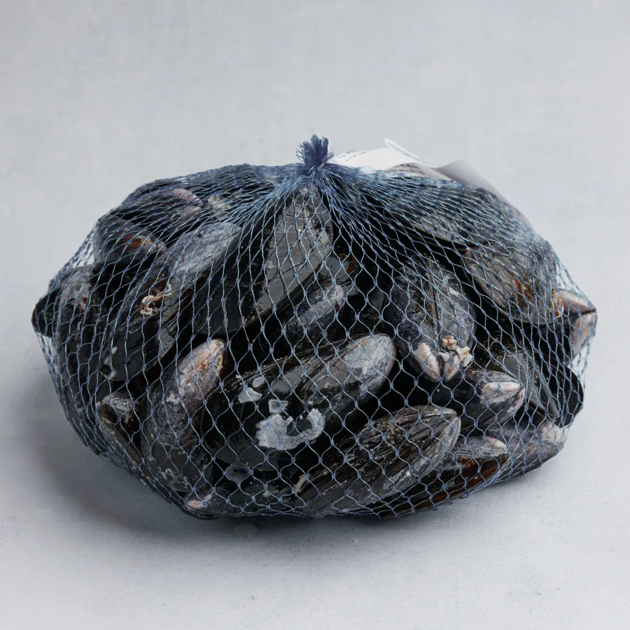 Immagine 1 del prodotto MITILI O COZZE ( MYTILUS GALLOPROVINCIALIS)