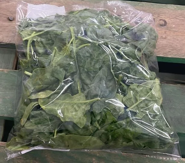 Immagine 1 del prodotto SPINACIO 500gr AMBRUOSI & VISCARDI