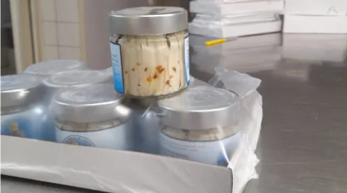 Immagine 2 del prodotto ALICI MARINATE DOLCI SOTT'OLIO