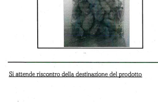 Immagine del prodotto COSCE DI RANA CONGELATE