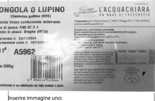 Immagine 1 del prodotto VONGOLE O LUPINI SOTTOVUOTO 4x0.5 KG