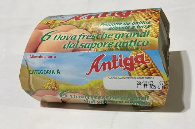 Immagine del prodotto 6 UOVA FRESCHE GRANDI SAPORE ANTICO DA ALLEVAMENTO A TERRA