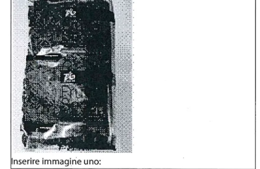 Immagine 1 del prodotto BACCHE DI GOJI
