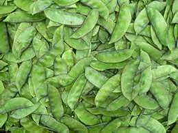 Immagine del prodotto Verdura seems (COUNTRY BEANS) Verdura Fresca
