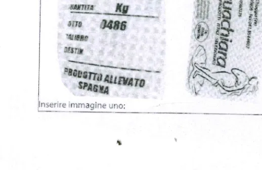 Confezione di COZZE SPAGNA