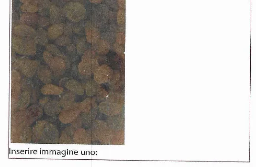 Immagine 1 del prodotto UVA GOLDEN JUMBO