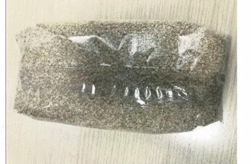 Immagine 2 del prodotto Sami di Sesamo Bio - Codice Articolo 10280
