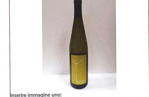 Immagine 1 del prodotto Pignoletto DOP Colli d¿Imola Vino frizzante 2022 Vigne del Rapace