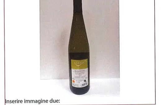 Immagine 2 del prodotto Pignoletto DOP Colli d¿Imola Vino frizzante 2022 Vigne del Rapace