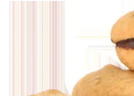 Immagine del prodotto BACIO DI DAMA - LOTTO A0311 1500G