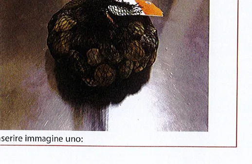 Immagine del prodotto Vongole veraci nostrane (Ruditapes decussatus)
