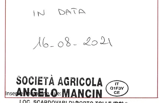 Immagine 2 del prodotto MYTILUS GALLOPROVINCIALIS