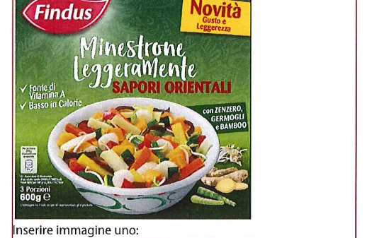 Confezione di Minestrone sapori orientali 600gr lotto 8011