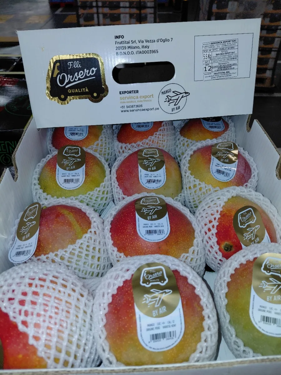 Immagine 1 del prodotto Mango varietà Kent origine Perù